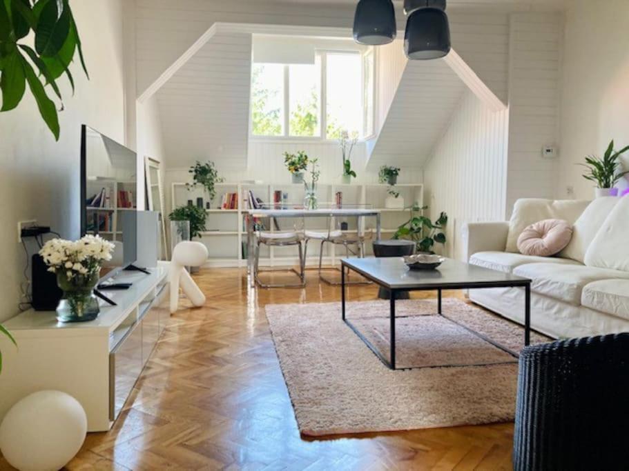 Big, Bright Apartment In The Center Of Zagreb Exterior photo